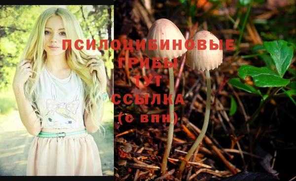 MESCALINE Алзамай