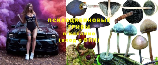 тгк Армянск