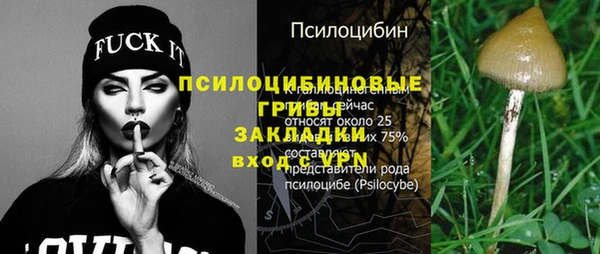 спайс Алексин