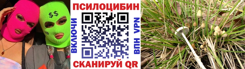 Купить  Колпашево  Галлюциногенные грибы ЛСД 